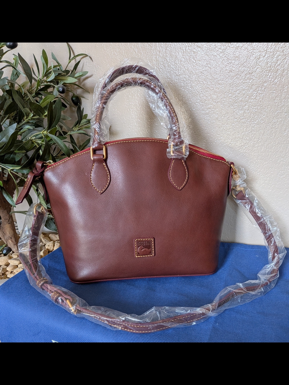 NWT! Dooney & Bourke Florentine Geena Satchel in BROWN